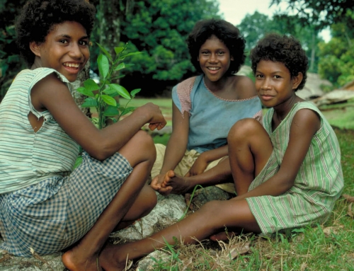 Investir dans Nash- Îles Salomons
